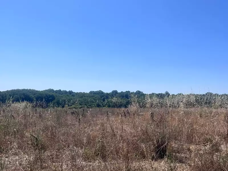 Terrain à bâtir, 338 m²