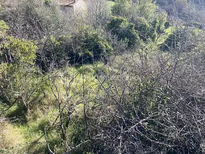 Terrain, 283 m²