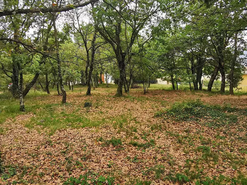 Terrain, 720 m²