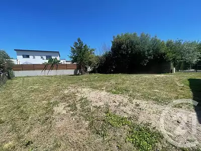 Terrain