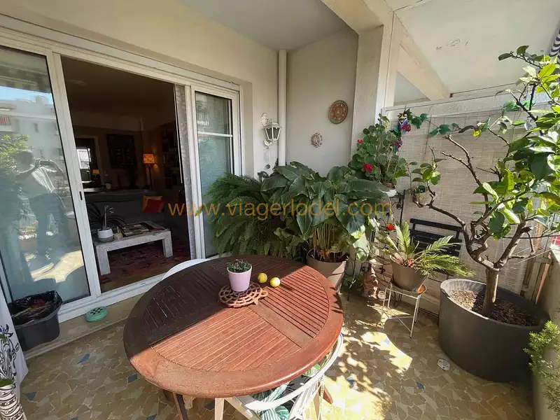 Appartement, 78,01 m²