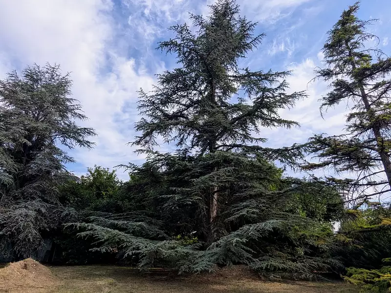 Terrain, 7 318 m²