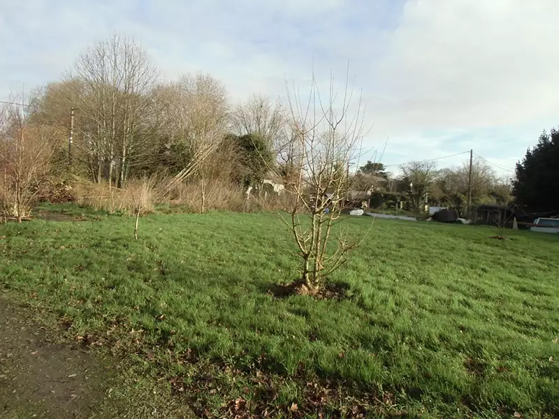 Terrain, 600 m²