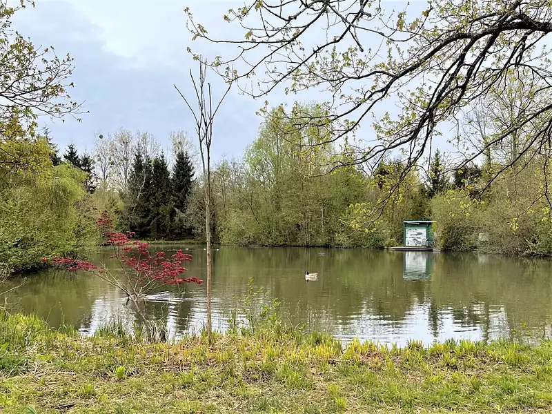 Maison, 44 000 m²