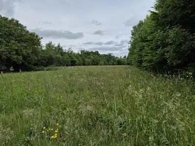 Terrain
