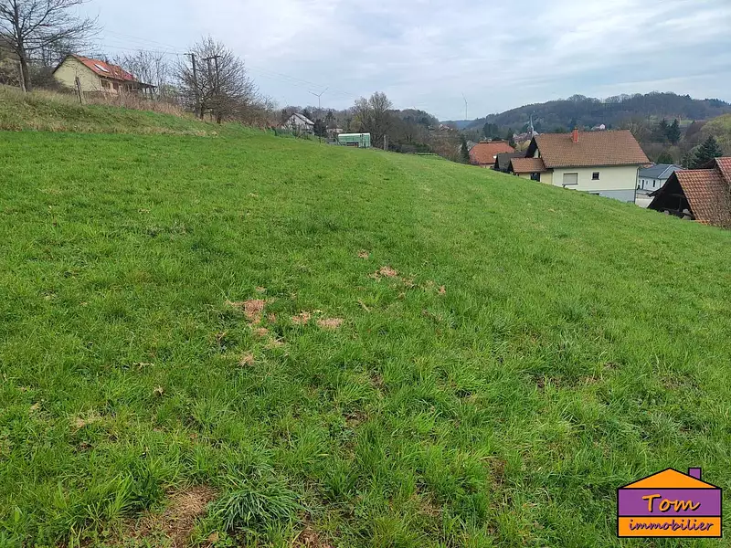 Terrain, 980 m²