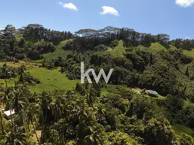 Terrain, 11 990 m²