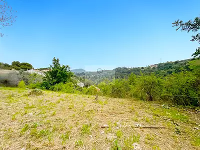 Terrain, 807 m²
