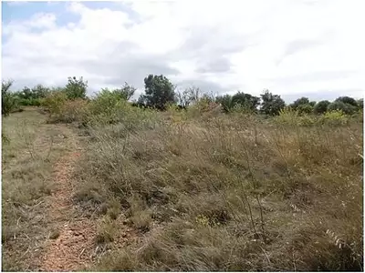 Terrain, 12 265 m²