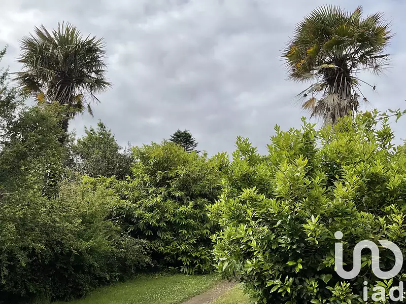Terrain, 554 m²