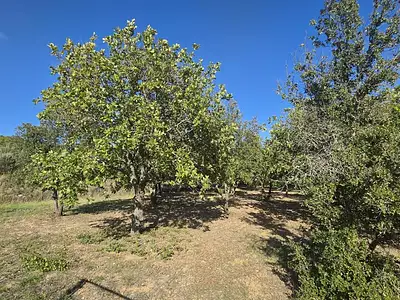 Terrain, 1 490 m²