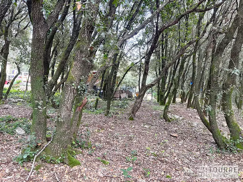 Terrain, 1 330 m²