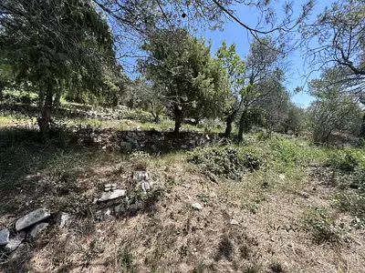 Terrain, 2 452 m²