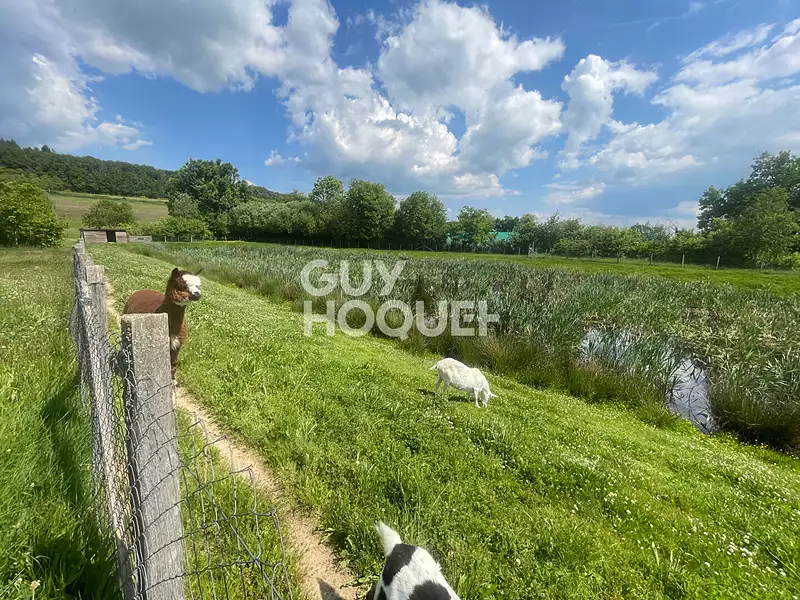 Terrain, 561 m²