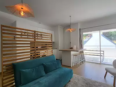 Appartement, 48,4 m²