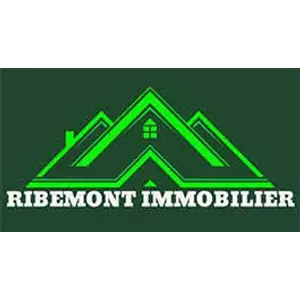 Logo de l'agence RIBEMONT IMMOBILIER