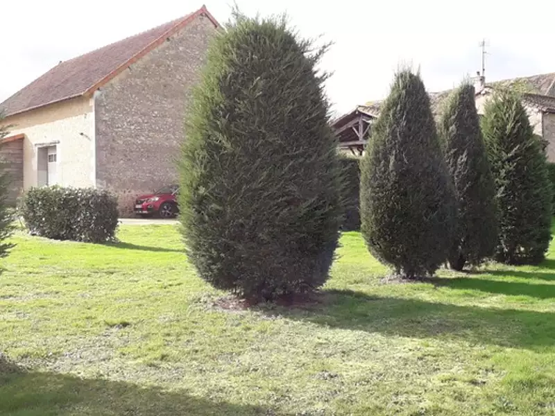 Maison, 223 m²