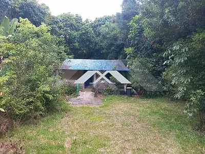 Maison, 55 m²