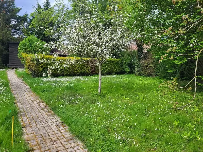 Terrain, 315 m²