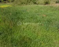 Terrain, 4 440 m²