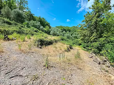 Terrain, 1 539 m²