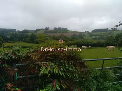 Terrain, 93 648 m²