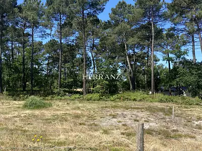 Terrain, 540 m²