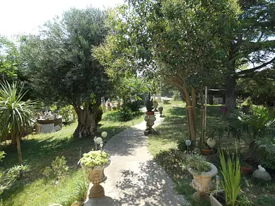 Maison, 320 m²
