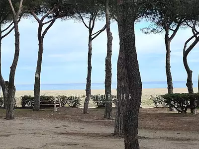 Appartement, 46,5 m²