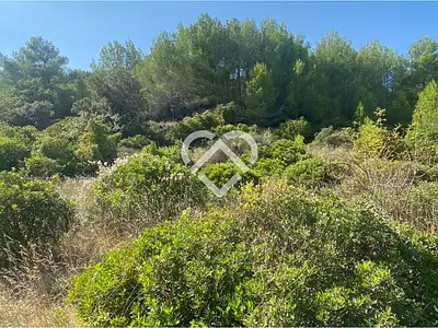 Terrain, 9 931 m²
