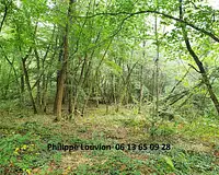 Terrain, 26 000 m²