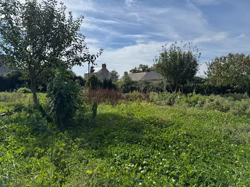 Terrain, 750 m²