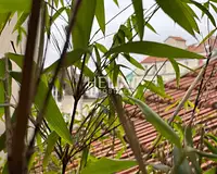 Appartement, 98,14 m²