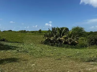 Terrain, 400 m²
