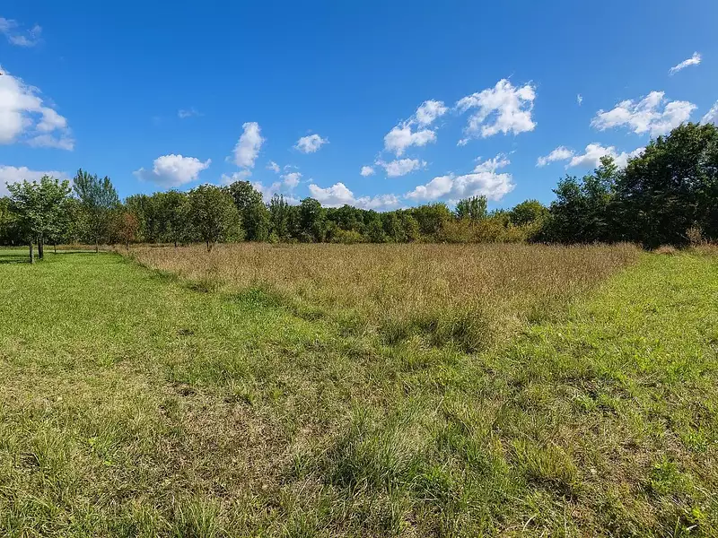 Terrain, 7 392 m²