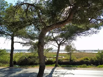 Terrain, 412 m²