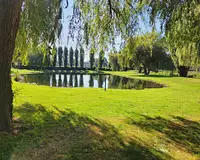 Terrain, 7 450 m²