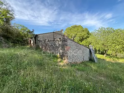 Terrain, 47 984 m²