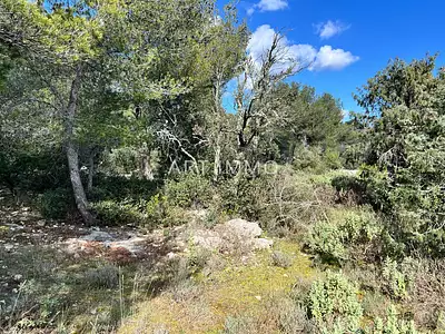 Terrain, 1 625 m²