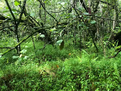 Terrain, 4 757 m²