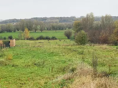 Terrain, 1 375 m²