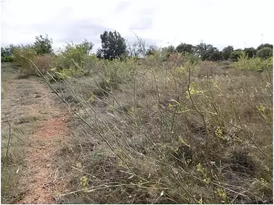 Terrain, 12 265 m²
