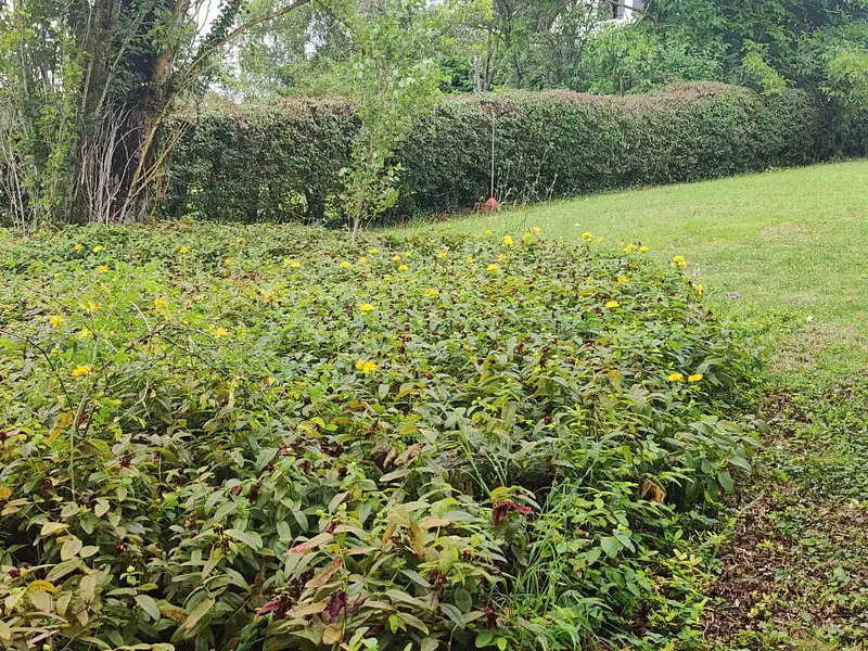 Terrain, 1 050 m²