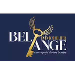 Bel Ange Immobilier