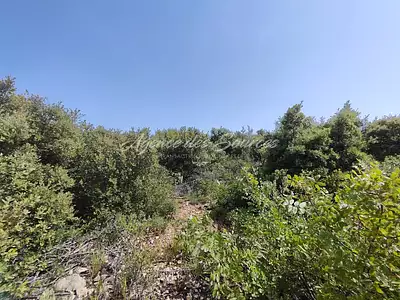 Terrain, 22 940 m²