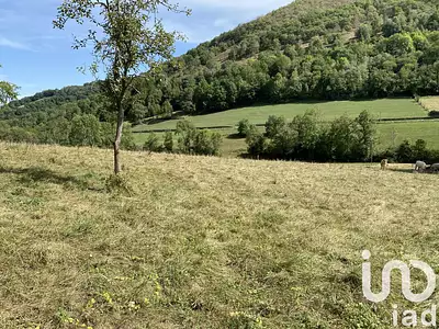 Terrain, 2 519 m²