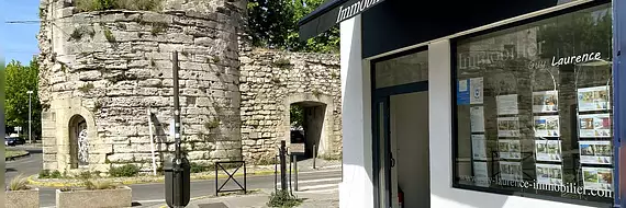 Guy Laurence Immobilier