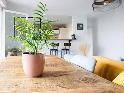 Appartement, 70 m²