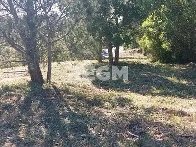 Terrain, 1 550 m²