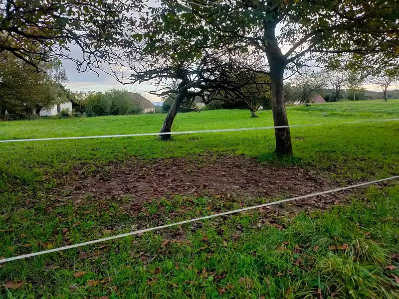 Terrain, 1 365 m²